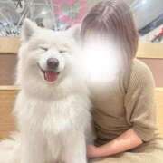 まや わんわん♡♡ 蒲田ウルトラギャラクシー