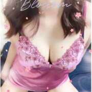 ヒメ日記 2025/04/10 07:40 投稿 森咲 ゆう こあくまな熟女たち 周南・徳山店（KOAKUMAグループ）