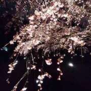 ヒメ日記 2025/03/31 21:02 投稿 こずえ One More奥様　立川店