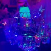 ヒメ日記 2025/02/24 01:33 投稿 みさき みつばちマーヤZ