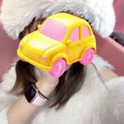 ヒメ日記 2025/03/23 01:52 投稿 みさき みつばちマーヤZ