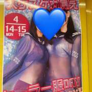 ヒメ日記 2025/04/14 01:20 投稿 みさき みつばちマーヤZ