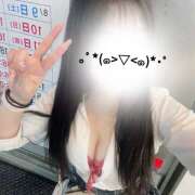 ヒメ日記 2025/08/06 01:23 投稿 みさき みつばちマーヤZ