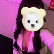 ヒメ日記 2025/09/26 21:29 投稿 みさき みつばちマーヤZ