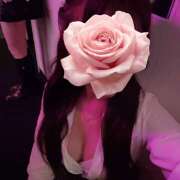 ヒメ日記 2025/10/25 01:34 投稿 みさき みつばちマーヤZ