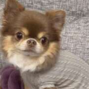 ヒメ日記 2025/05/24 19:58 投稿 ゆい 石亭