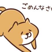 ヒメ日記 2025/06/09 08:37 投稿 ゆい 石亭