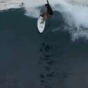 ヒメ日記 2025/08/09 19:01 投稿 ゆい 石亭