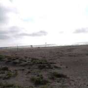 ヒメ日記 2025/08/22 21:15 投稿 ゆい 石亭