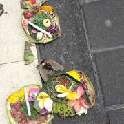 ヒメ日記 2025/10/25 09:10 投稿 ゆい 石亭