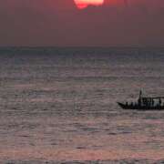 ヒメ日記 2025/10/30 21:27 投稿 ゆい 石亭