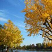 ヒメ日記 2025/11/16 21:16 投稿 ゆい 石亭