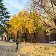 ヒメ日記 2025/11/27 21:01 投稿 ゆい 石亭