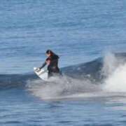 ヒメ日記 2025/11/29 20:01 投稿 ゆい 石亭