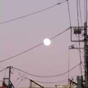 ヒメ日記 2025/12/04 20:10 投稿 ゆい 石亭