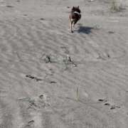 ヒメ日記 2026/01/01 19:07 投稿 ゆい 石亭