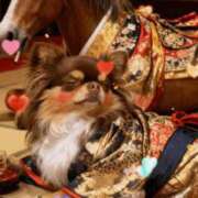 ヒメ日記 2026/01/02 19:30 投稿 ゆい 石亭