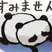 ヒメ日記 2026/08/12 07:10 投稿 ゆい 石亭