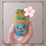 ヒメ日記 2025/04/27 16:56 投稿 ひかり（GOLD） 新橋フェアリーズ