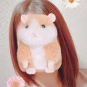 ヒメ日記 2025/06/20 17:47 投稿 ひかり（GOLD） 新橋フェアリーズ