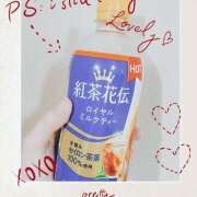 ひかり（GOLD） 出勤します!! 新橋フェアリーズ