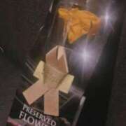 ヒメ日記 2025/09/16 12:00 投稿 つばさ GlamourGlamour (グラマーグラマー)