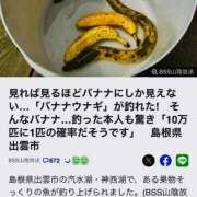 ヒメ日記 2025/06/08 14:44 投稿 もも One More奥様　蒲田店