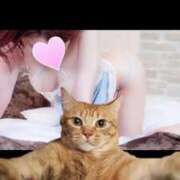 ヒメ日記 2025/07/31 17:24 投稿 もも One More奥様　蒲田店