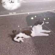 ヒメ日記 2025/08/30 16:37 投稿 もも One More奥様　蒲田店