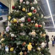 ヒメ日記 2024/12/20 10:19 投稿 ひな 池袋マリン本店