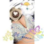 ヒメ日記 2025/02/02 16:34 投稿 葵（あおい） 女々艶 大和店