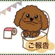 ヒメ日記 2025/04/10 20:33 投稿 葵（あおい） 女々艶 大和店