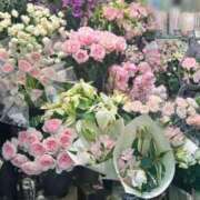 ヒメ日記 2024/12/12 20:16 投稿 五十嵐 ANECOTE