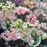 ヒメ日記 2025/01/27 06:37 投稿 五十嵐 ANECOTE