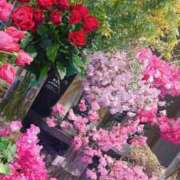 ヒメ日記 2025/02/03 06:45 投稿 五十嵐 ANECOTE