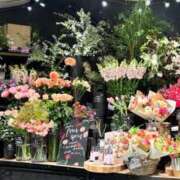 ヒメ日記 2025/02/09 22:09 投稿 五十嵐 ANECOTE