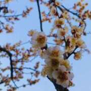 ヒメ日記 2025/03/01 21:54 投稿 五十嵐 ANECOTE