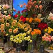 ヒメ日記 2025/03/03 23:05 投稿 五十嵐 ANECOTE