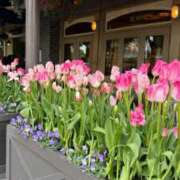 ヒメ日記 2025/03/10 22:19 投稿 五十嵐 ANECOTE