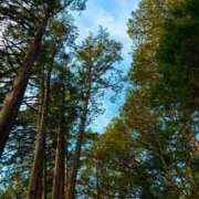 ヒメ日記 2025/03/13 18:44 投稿 五十嵐 ANECOTE