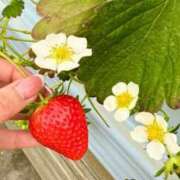 ヒメ日記 2025/03/13 20:49 投稿 五十嵐 ANECOTE