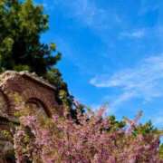 ヒメ日記 2025/03/19 22:17 投稿 五十嵐 ANECOTE