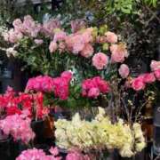 ヒメ日記 2025/03/22 22:07 投稿 五十嵐 ANECOTE