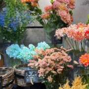 ヒメ日記 2025/03/24 22:24 投稿 五十嵐 ANECOTE