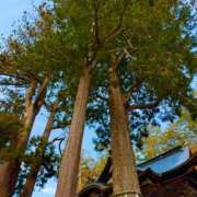 ヒメ日記 2025/04/03 21:30 投稿 五十嵐 ANECOTE