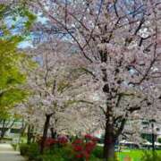 ヒメ日記 2025/04/09 12:53 投稿 五十嵐 ANECOTE