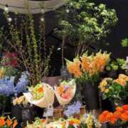 ヒメ日記 2025/04/13 22:08 投稿 五十嵐 ANECOTE