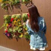 ヒメ日記 2025/04/19 07:10 投稿 五十嵐 ANECOTE