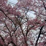 ヒメ日記 2025/04/22 18:44 投稿 五十嵐 ANECOTE