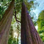 ヒメ日記 2025/04/23 22:43 投稿 五十嵐 ANECOTE